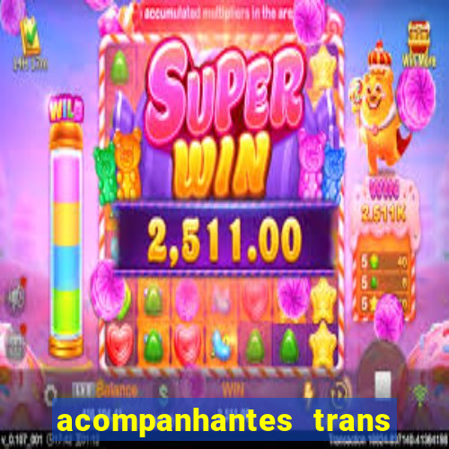 acompanhantes trans porto seguro